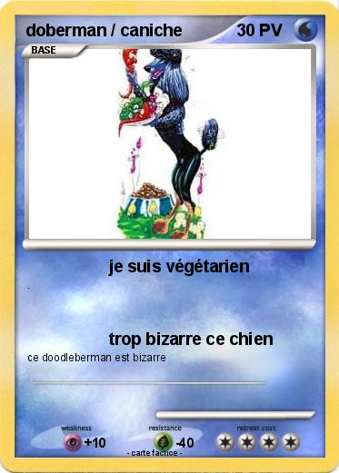Pokemon doberman / caniche