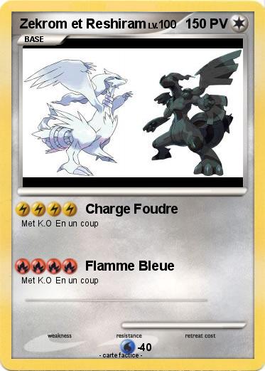 Pokemon Zekrom et Reshiram