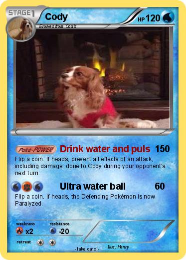 Pokemon Cody