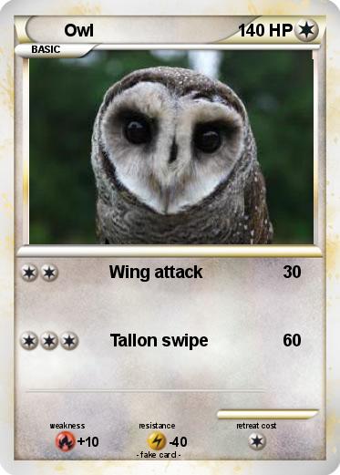 Pokemon Owl