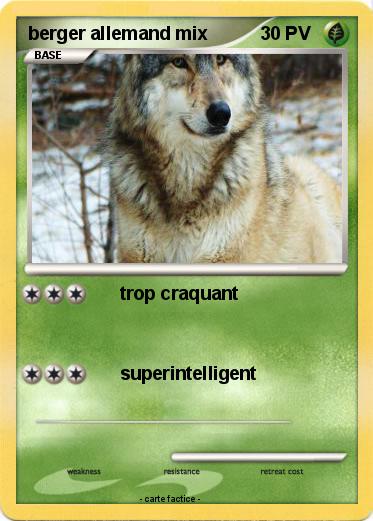 Pokemon berger allemand mix