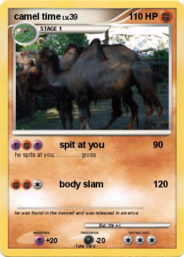 Pokemon camel time