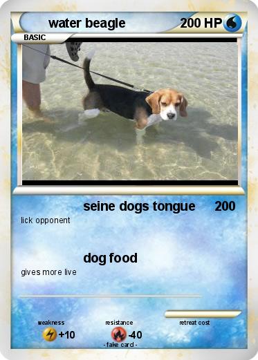 Pokemon water beagle