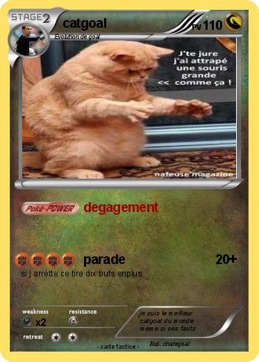 Pokemon catgoal