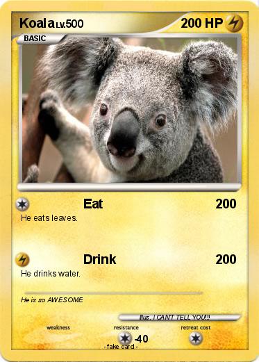 Pokemon Koala