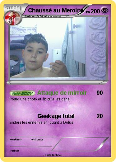 Pokemon Chaussé au Meroine