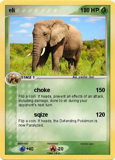 Pokemon eli