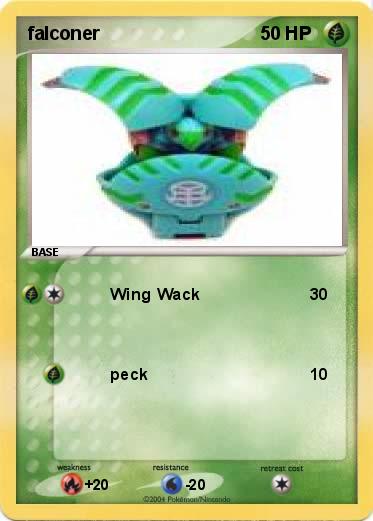Pokemon falconer