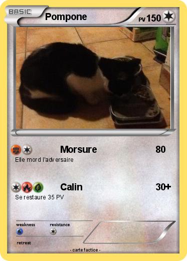 Pokemon Pompone