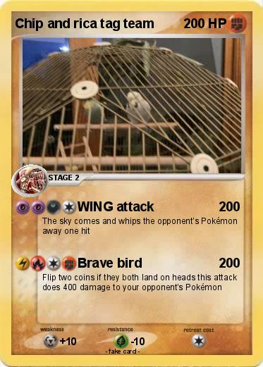 Pokemon Chip and rica tag team