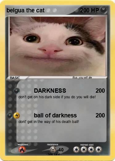 Pokemon belgua the cat