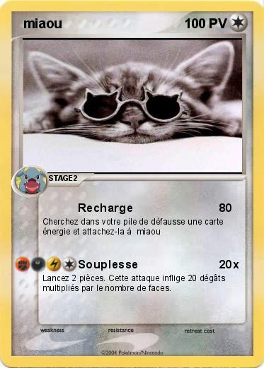 Pokemon  miaou