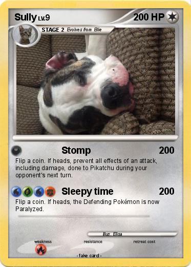 Pokemon Sully
