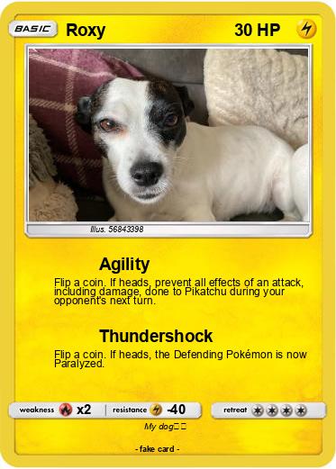 Pokemon Roxy