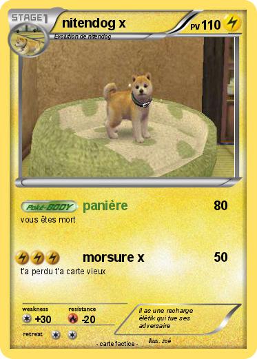 Pokemon nitendog x