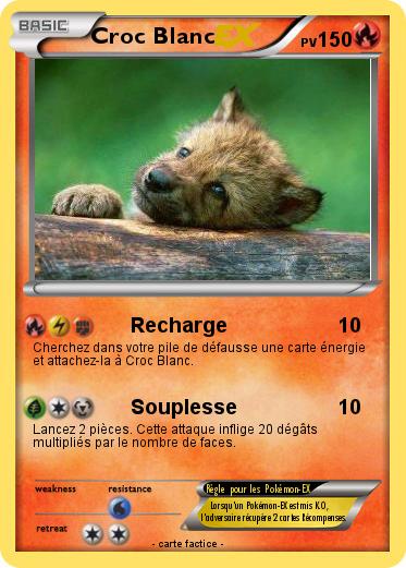 Pokemon Croc Blanc