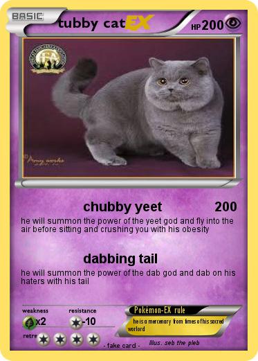 Pokemon tubby cat
