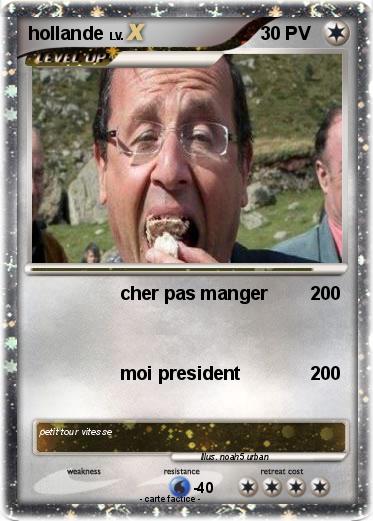 Pokemon hollande