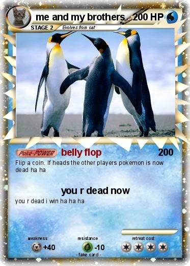 Pokemon me and my brothers