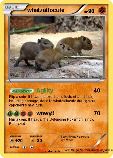 Pokemon whatzattocute