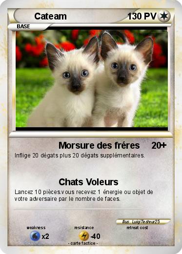 Pokemon Cateam