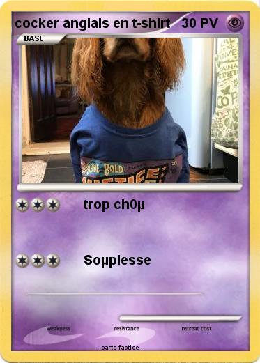 Pokemon cocker anglais en t-shirt