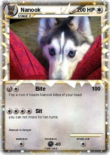 Pokemon Nanook