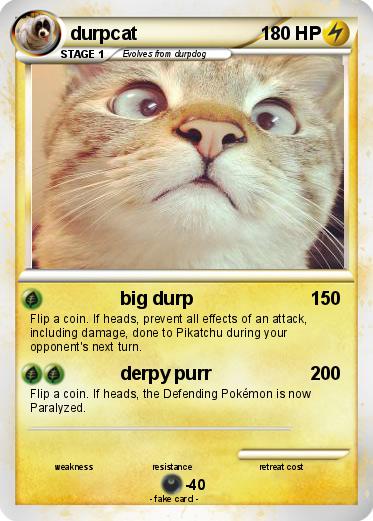 Pokemon durpcat