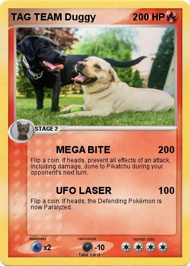 Pokemon TAG TEAM Duggy