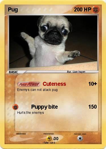 Pokemon Pug