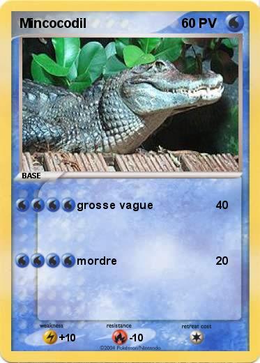 Pokemon Mincocodil