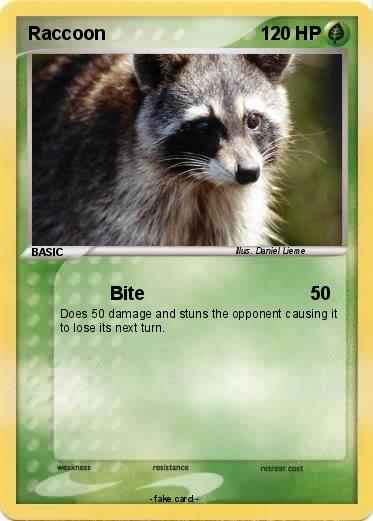 Pokemon Raccoon