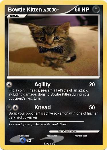 Pokemon Bowtie Kitten