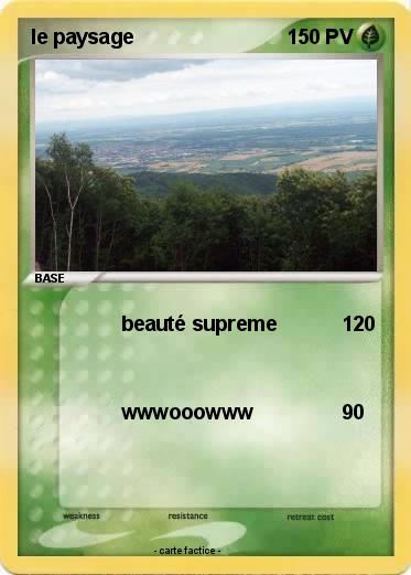 Pokemon le paysage