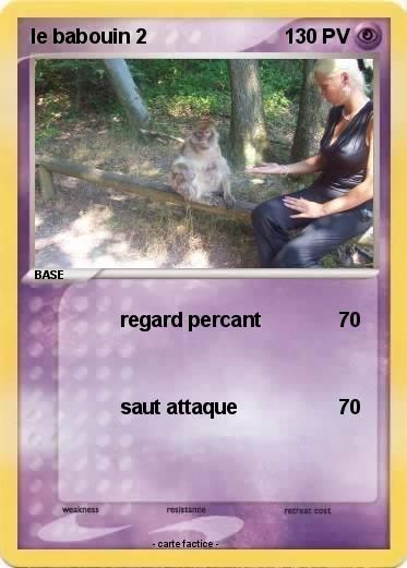 Pokemon le babouin 2