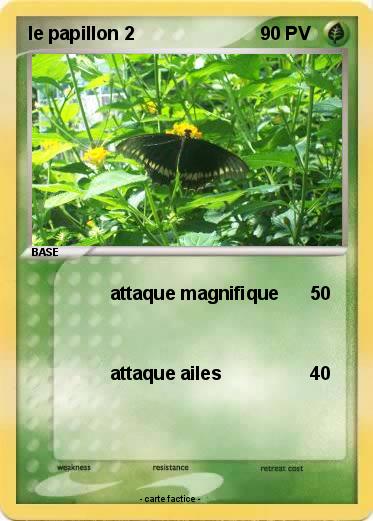 Pokemon le papillon 2