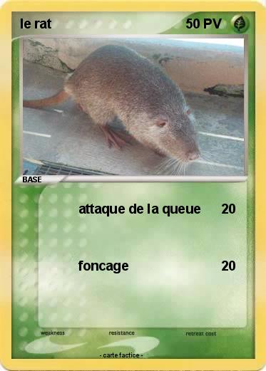 Pokemon le rat