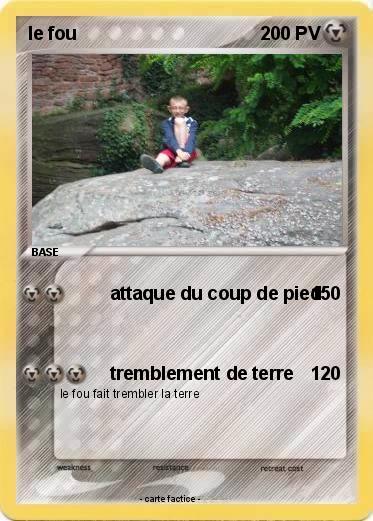 Pokemon le fou