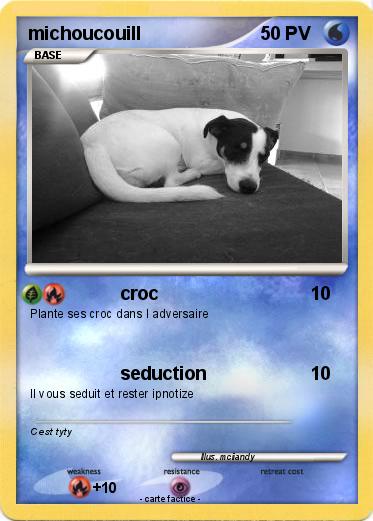 Pokemon michoucouill