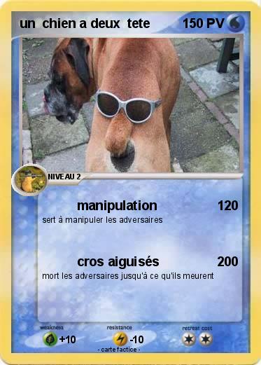 Pokemon un  chien a deux  tete