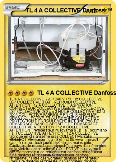 Pokemon TL 4 A COLLECTIVE Danfoss ™