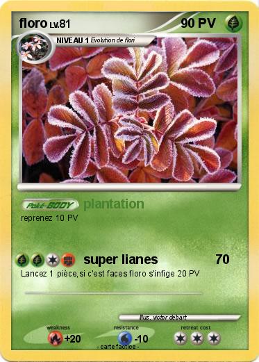 Pokemon floro