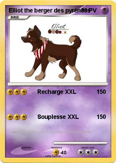 Pokemon Elliot the berger des pyrénées