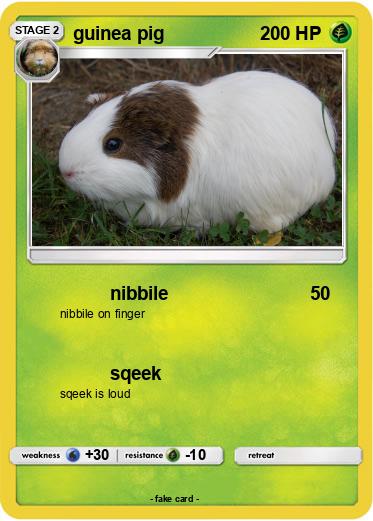 Pokemon guinea pig
