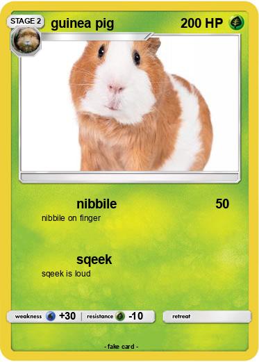 Pokemon guinea pig