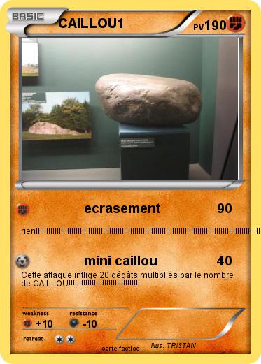 Pokemon CAILLOU1