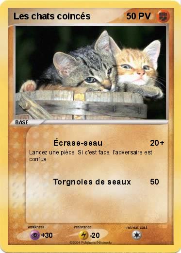 Pokemon Les chats coincés