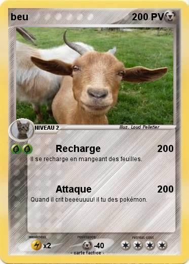 Pokemon beu