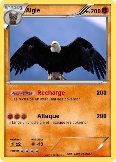 Pokemon Aigle