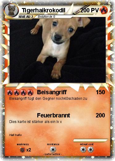 Pokemon Tigerhaikrokodil